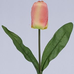 Jarné tulipány Zmiešané farby
