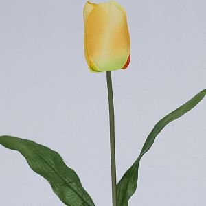 Jarní tulipány mix barev - 48 kusů