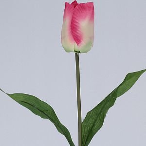 Jarní tulipány mix barev - 48 kusů