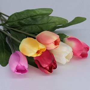 Jarní tulipány mix barev