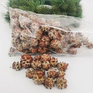 Pubescens loose cones 500g