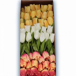Tulipány velké mix 72 kusů