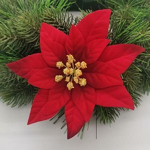 Zamatová červená Poinsettia