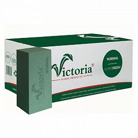 Aranžovací hmota - Victoria Normal Super Fresh