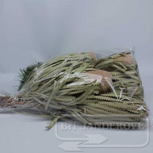 SU0733 Banksia Hookeriana - prírodná 5 ks