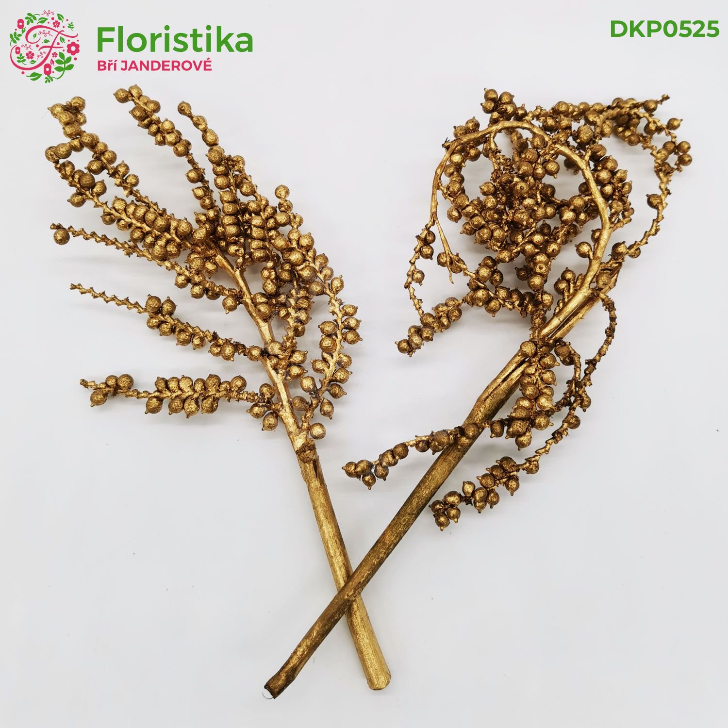 Canella zlatá 12 kusov