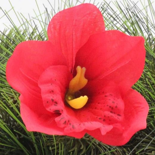 VL0246 Červená orchidea