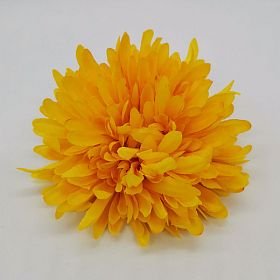 Chryzantéma plochá žlutá 14cm/12ks