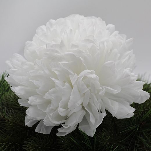 VL0760 Chryzantéma textilná guľa maxi biela