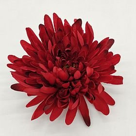 Chryzantémová hlava velká bordó 16cm/12ks