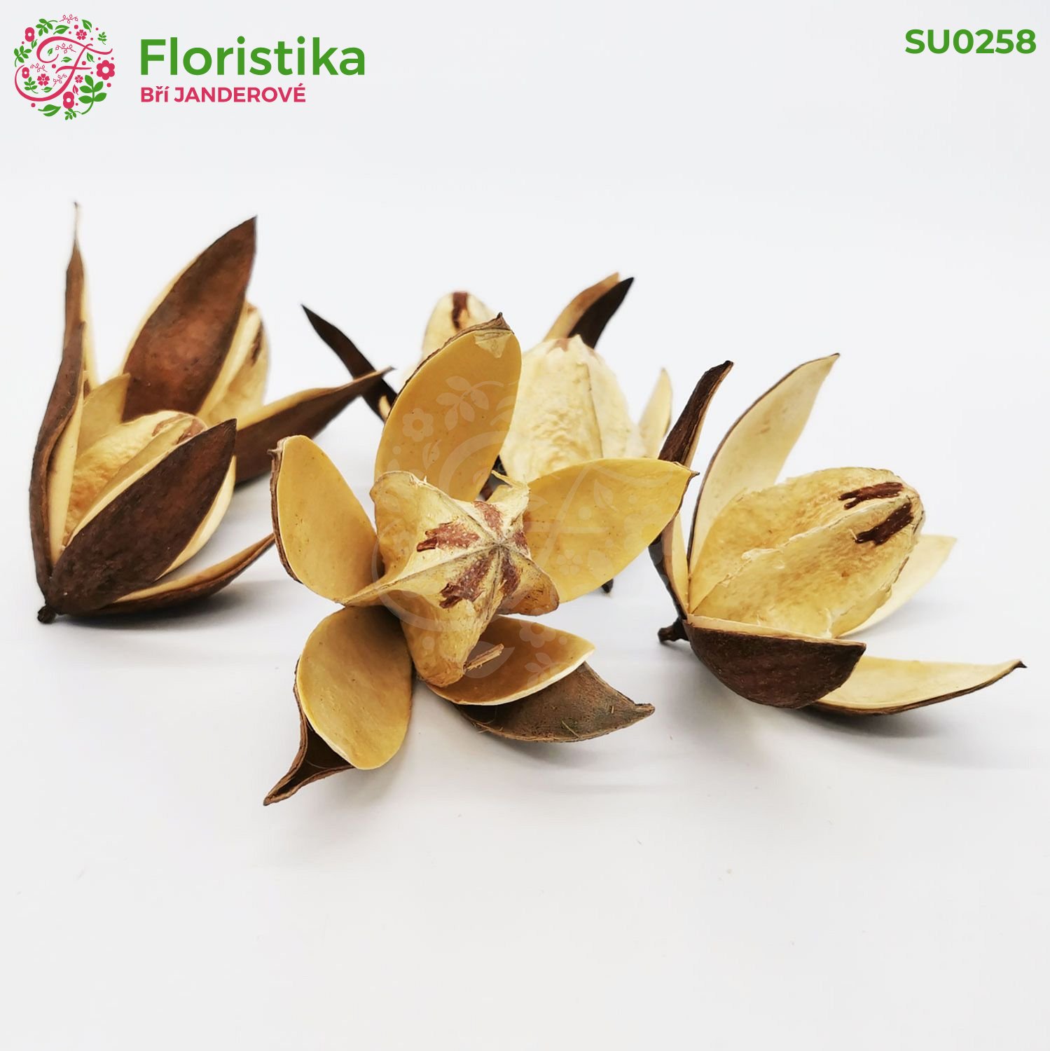 Divoká ľalia - prírodná - 30 kusov