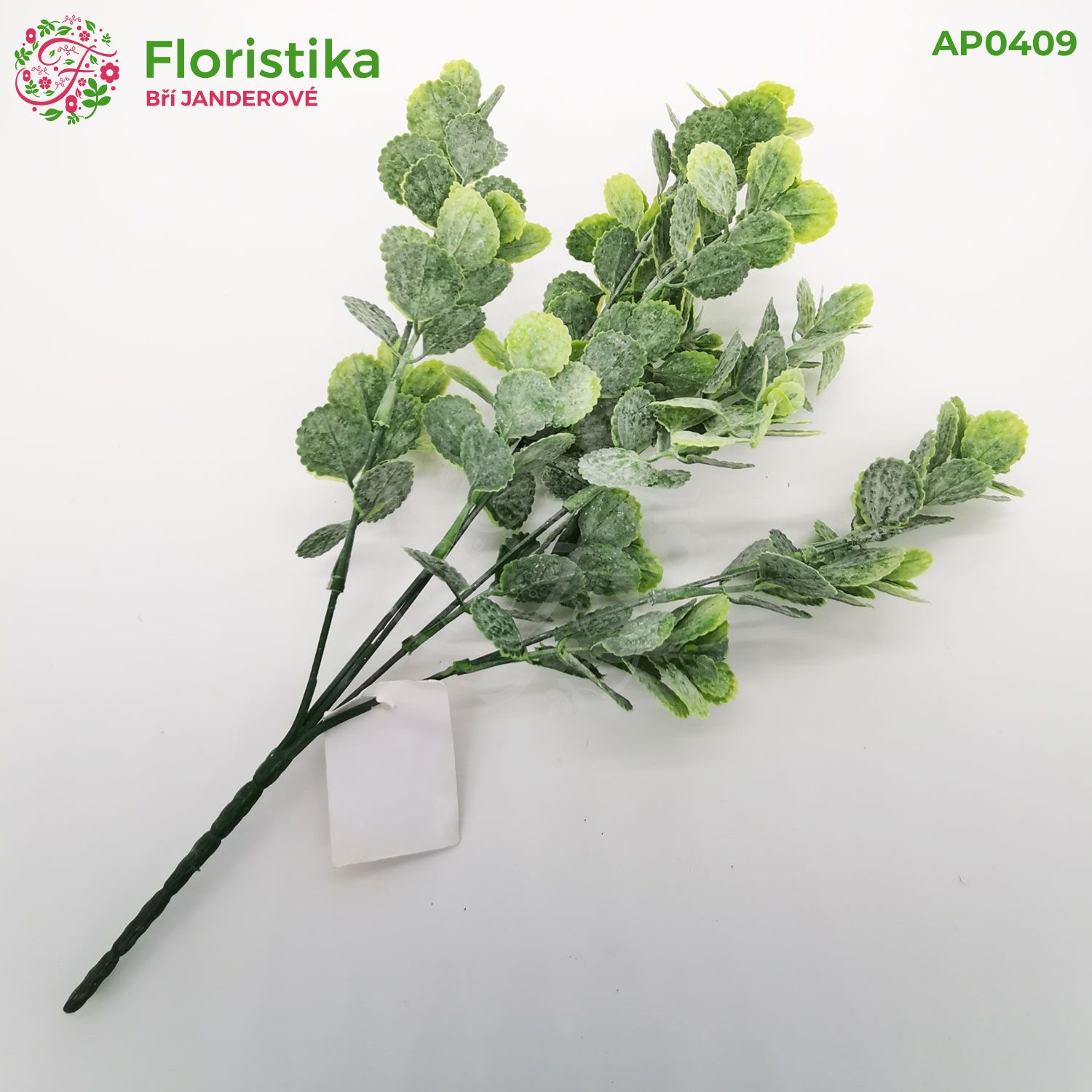 Eukalyptus světle zelený – výška 25 cm (celková délka 35 cm), 5 větviček