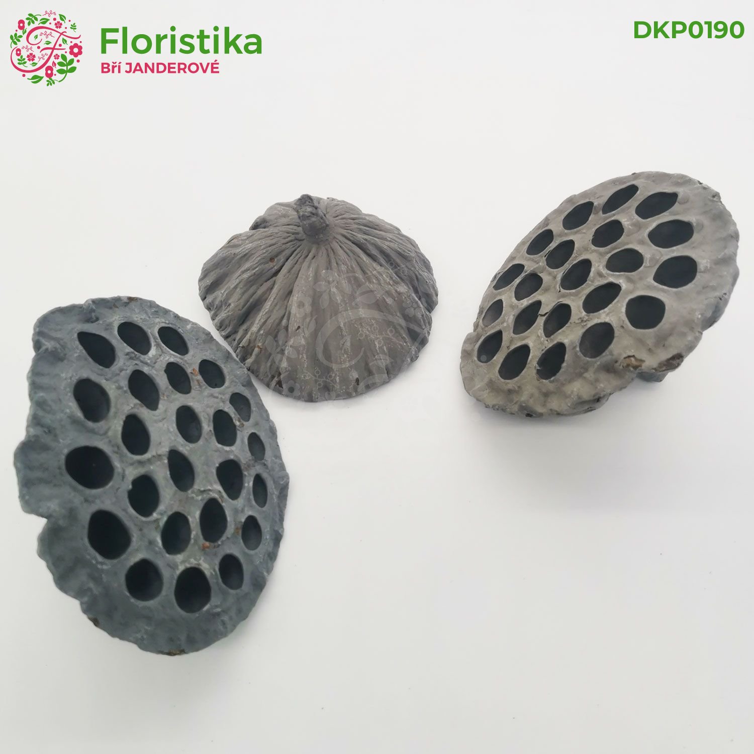 Lotos extra large šedý - 9-12cm/12ks