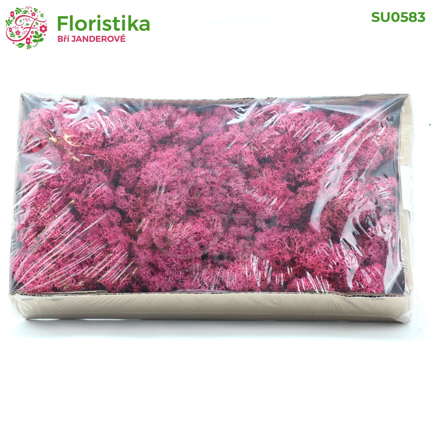 Mech - Cladonia arbuscula - stabilizovaný mech