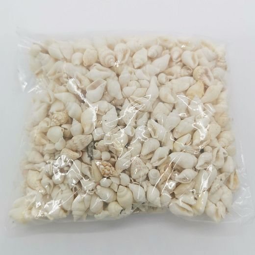 DKP0180 Nassa biele mušle 100 gramov