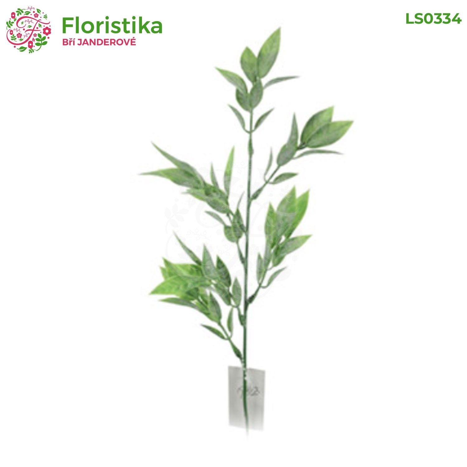 Okrasná tráva Ruskus, zeleno-biela, s námrazou – výška 55 cm