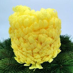 Okvetné lístky chryzantém na výrobu vencov