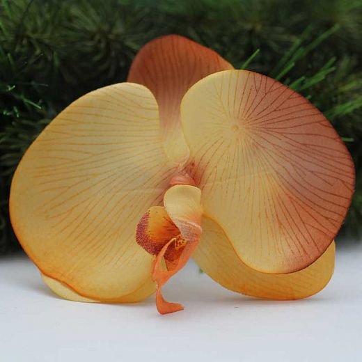 VL0276 Orchidea - hnědo oranžová