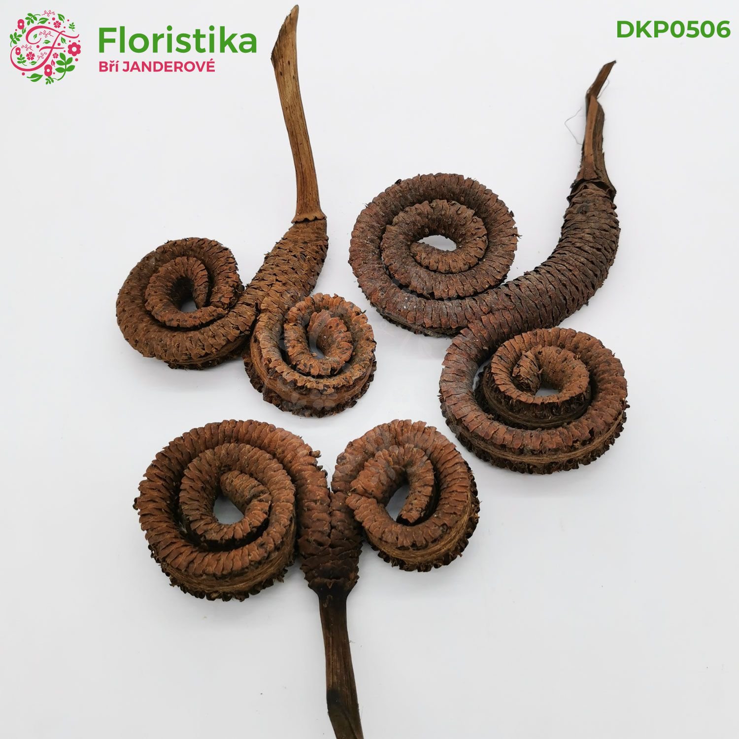 Palm ring přírodní - 12-17cm/6ks