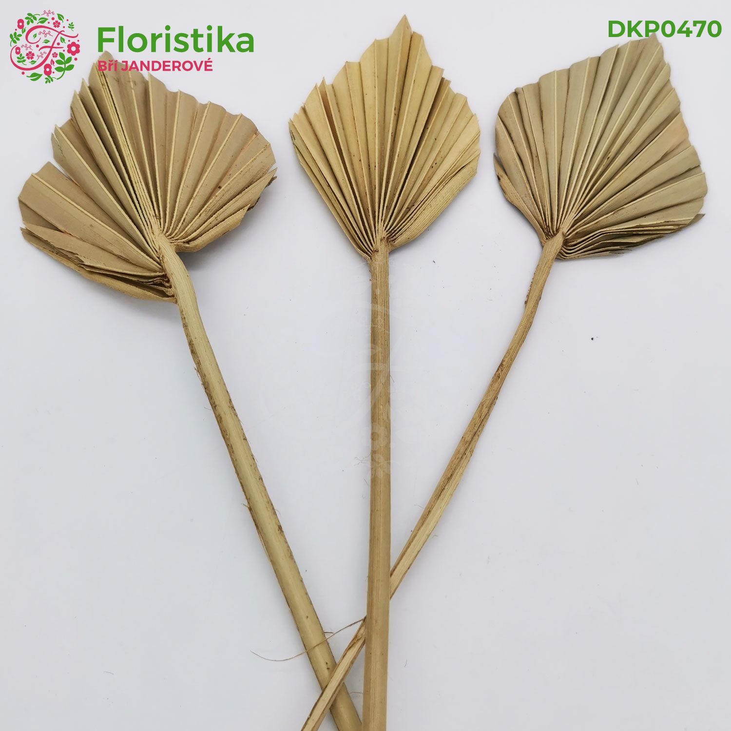 Palmový hrot mini 8-10cm/12ks - prírodný