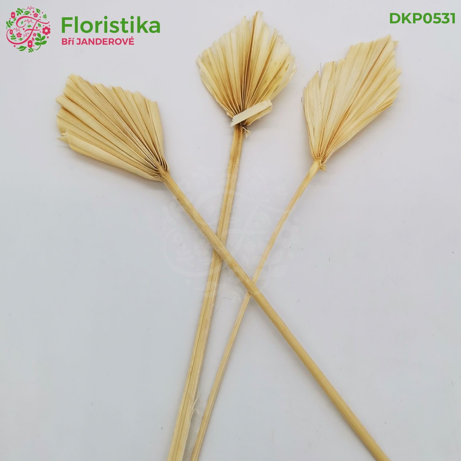 Palmový oštep mini 8-10cm/12ks - bielený