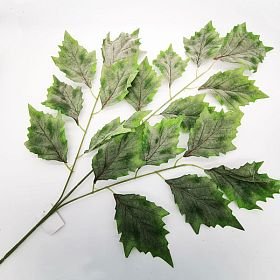 Podzimní listí javoru tmavé zelené omrzlé