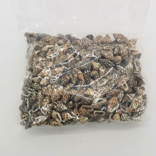 DKP0179 Prírodné mušle Nassa 100 gramov