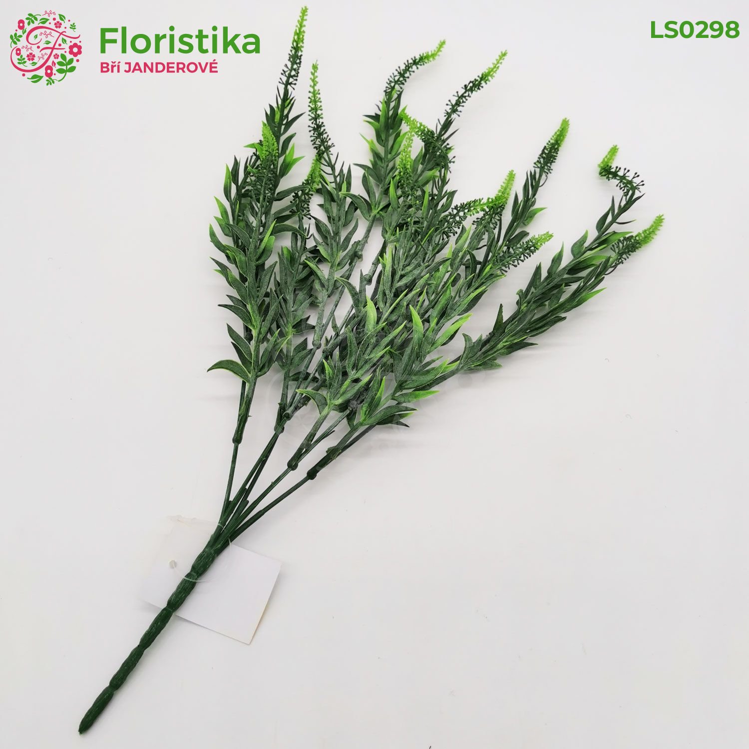 Přízdobová tráva bílozelená ojíněná