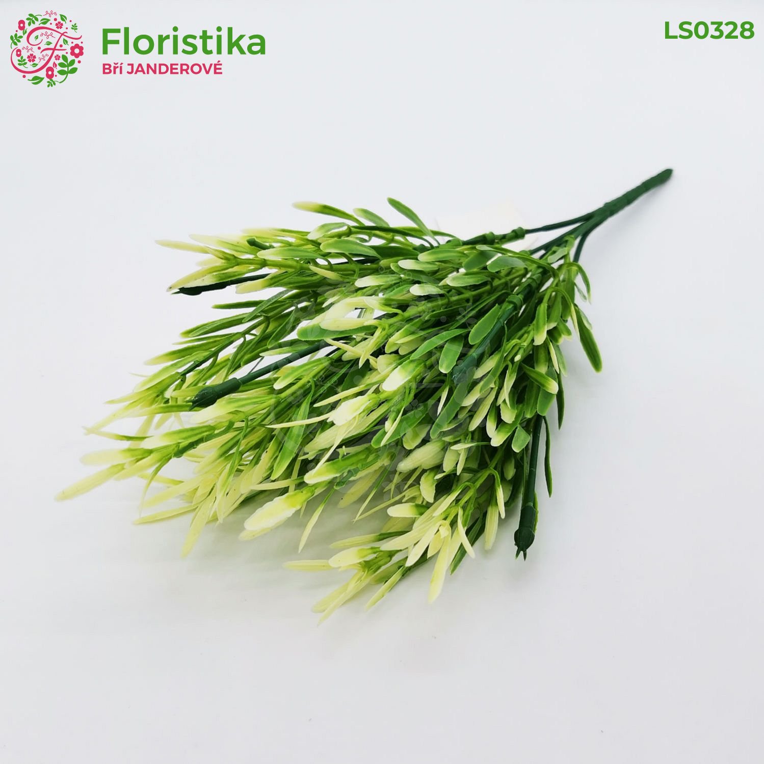 Prutnatec zeleno bíly  – výška 37 cm, 4 větvičky