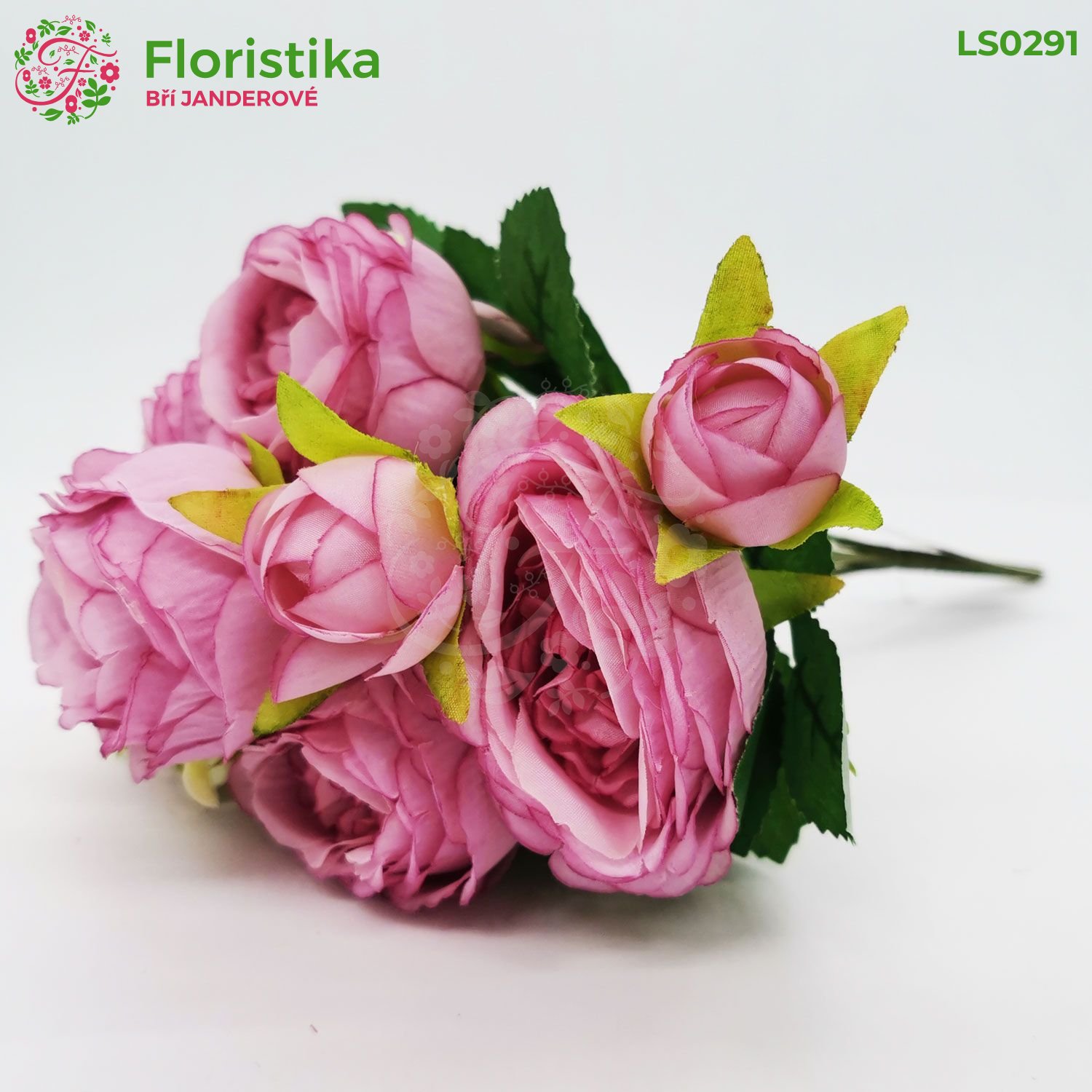 Ranunculus puget 30 cm