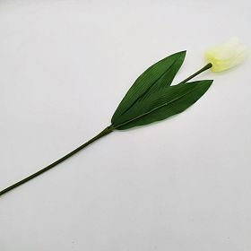 Tulipán na stonku s listy - krémová barva