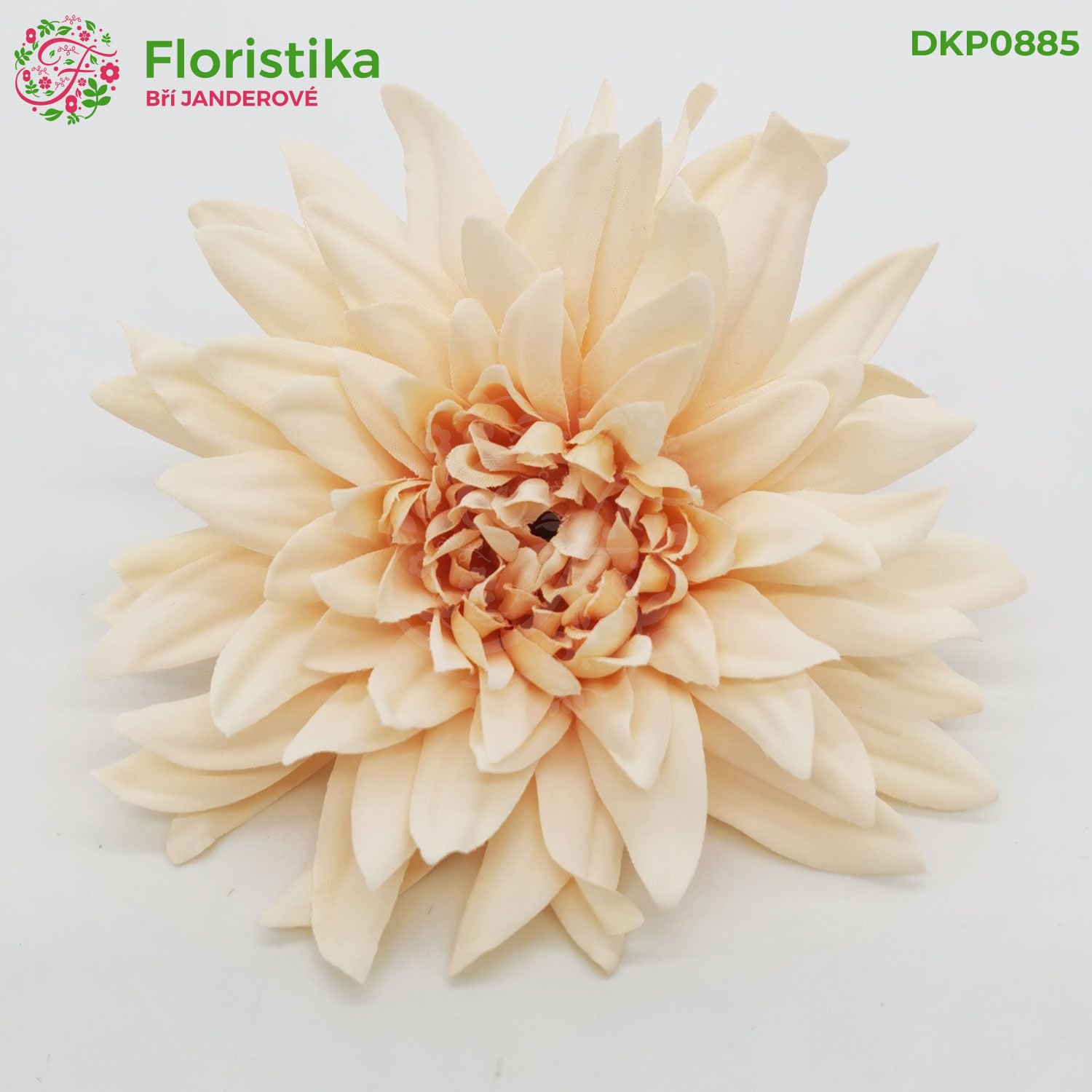 Umělá hlava jiřiny (dahlia) meruňková – ø 10 cm (balení 12 ks)