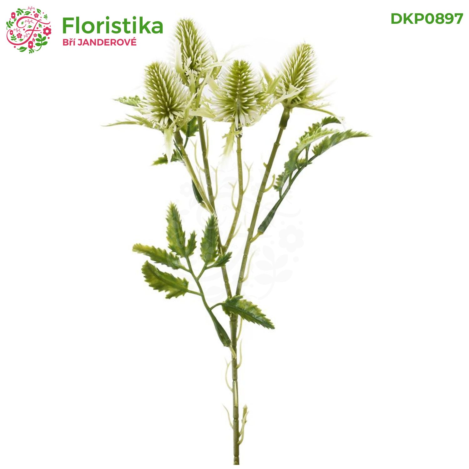 Umělá květina Eryngium bodlák bílo-zelený – 27 cm (stonek 4 hlavičky)