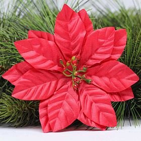 Vánoční hvězda saténová